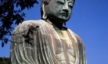 Discover Kamakura